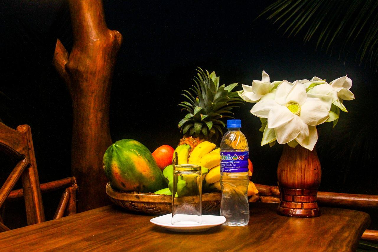 Yalaway Nature Villa Tissamaharama Εξωτερικό φωτογραφία