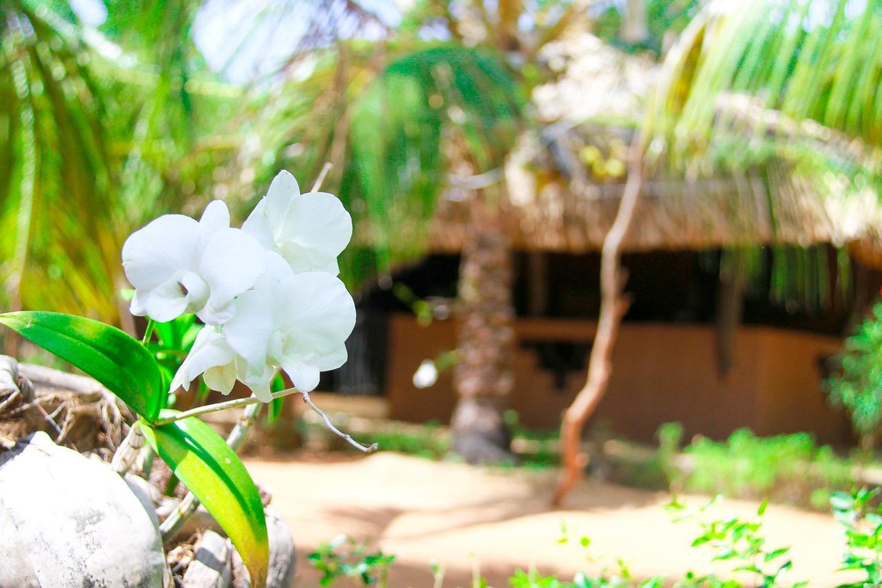 Yalaway Nature Villa Tissamaharama Εξωτερικό φωτογραφία
